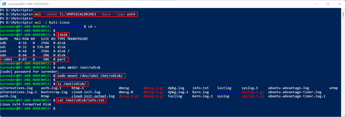 Mount and access a disk in WSL
